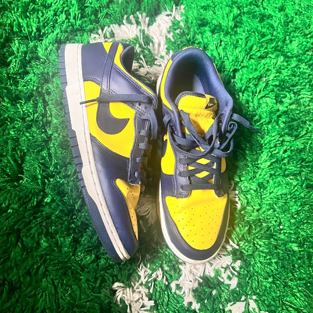 Nike Michigan dunks